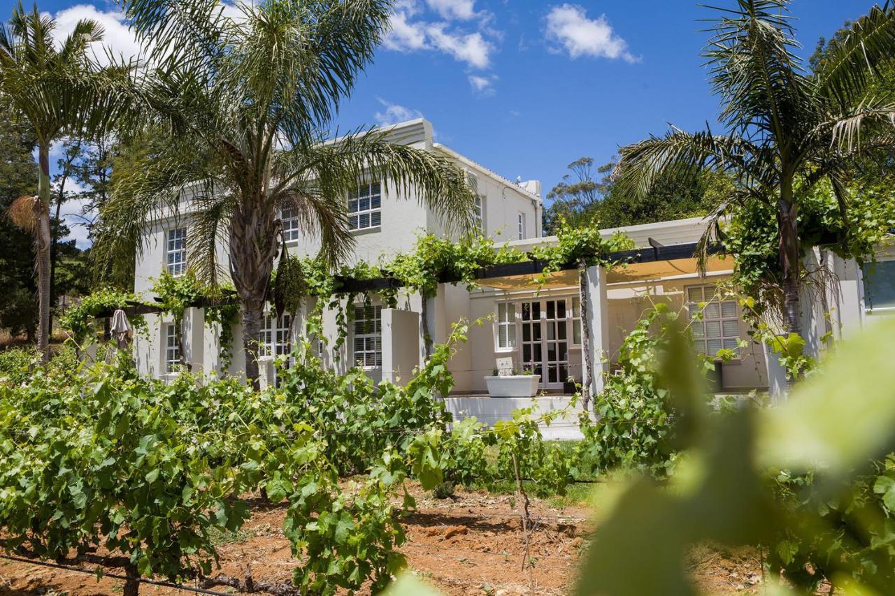 Kunjani Villas Municipalità locale di Municipalità locale di Stellenbosch Esterno foto